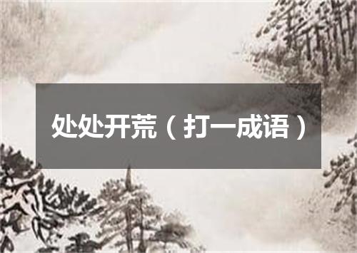 处处开荒（打一成语）