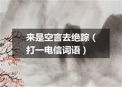 来是空言去绝踪（打一电信词语）