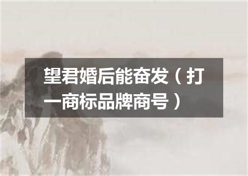 望君婚后能奋发（打一商标品牌商号）