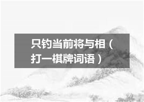 只钓当前将与相（打一棋牌词语）
