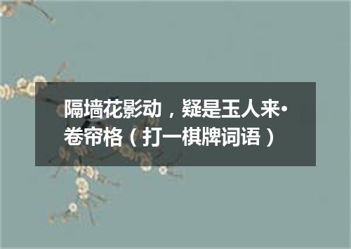 隔墙花影动，疑是玉人来·卷帘格（打一棋牌词语）