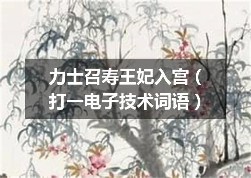 力士召寿王妃入宫（打一电子技术词语）