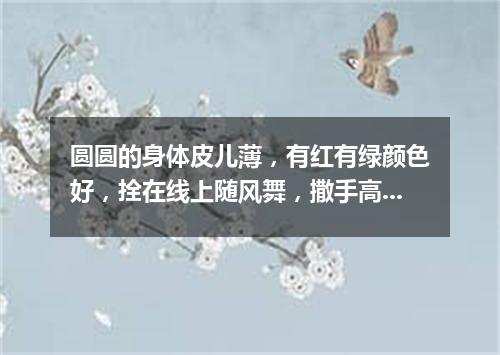 圆圆的身体皮儿薄，有红有绿颜色好，拴在线上随风舞，撒手高飞天上飘。（打一物）