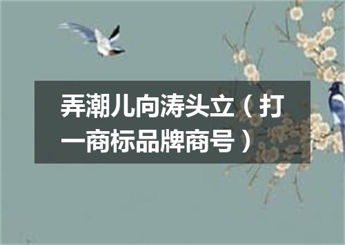 弄潮儿向涛头立（打一商标品牌商号）