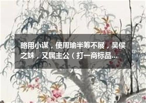 略用小谋，使周瑜半筹不展，吴侯之妹，又属主公（打一商标品牌商号）