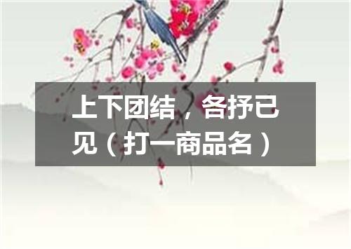 上下团结，各抒已见（打一商品名）