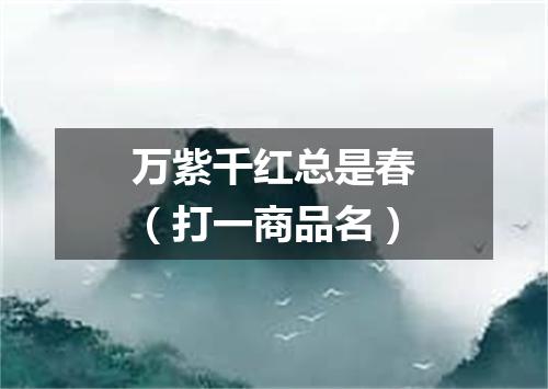 万紫千红总是春（打一商品名）