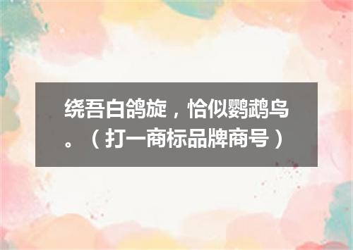 绕吾白鸽旋，恰似鹦鹉鸟。（打一商标品牌商号）