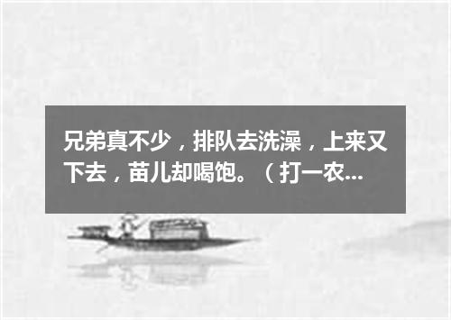 兄弟真不少，排队去洗澡，上来又下去，苗儿却喝饱。（打一农机具）