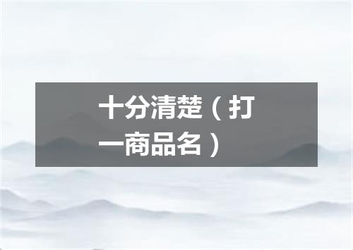 十分清楚（打一商品名）
