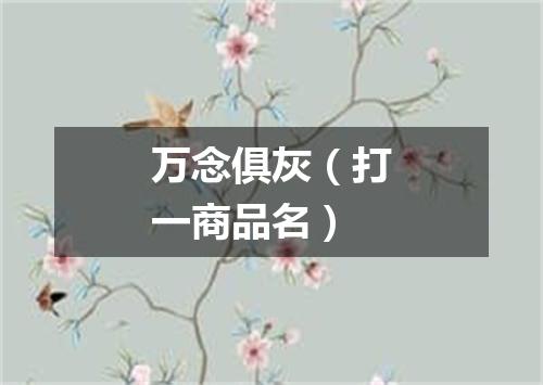 万念俱灰（打一商品名）