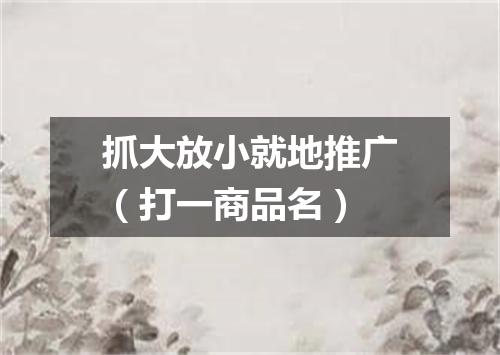 抓大放小就地推广（打一商品名）