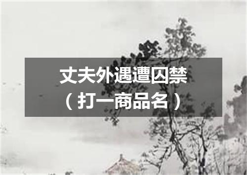 丈夫外遇遭囚禁（打一商品名）