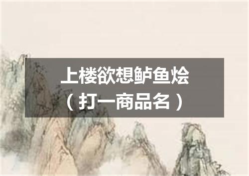 上楼欲想鲈鱼烩（打一商品名）