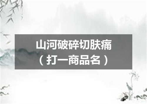 山河破碎切肤痛（打一商品名）