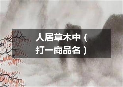 人居草木中（打一商品名）
