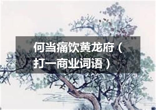 何当痛饮黄龙府（打一商业词语）