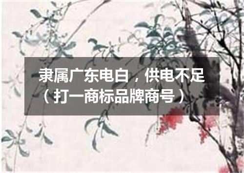 隶属广东电白，供电不足（打一商标品牌商号）