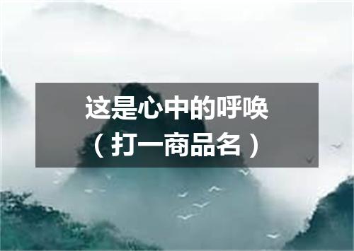 这是心中的呼唤（打一商品名）