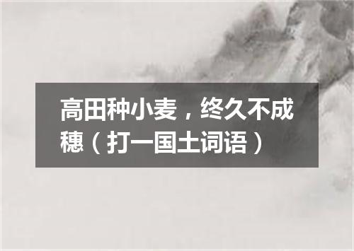 高田种小麦，终久不成穗（打一国土词语）