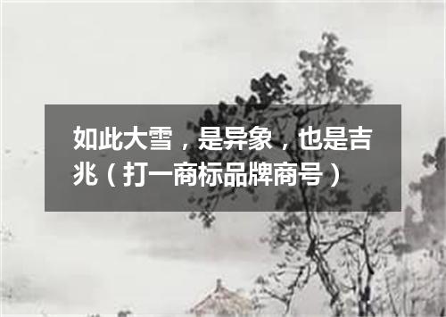 如此大雪，是异象，也是吉兆（打一商标品牌商号）