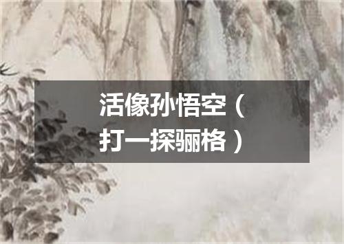 活像孙悟空（打一探骊格）
