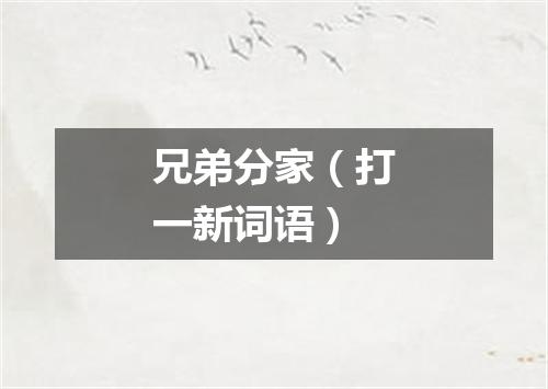兄弟分家（打一新词语）