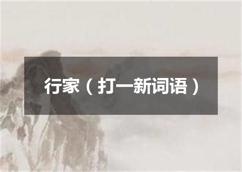 行家（打一新词语）