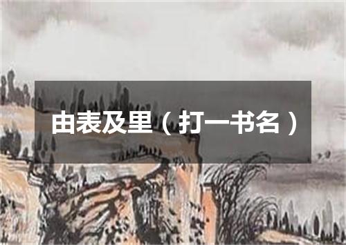 由表及里（打一书名）