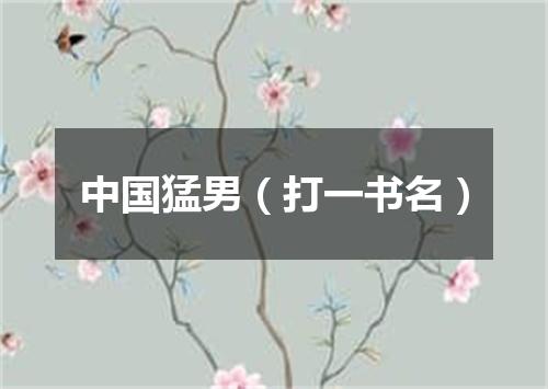 中国猛男（打一书名）