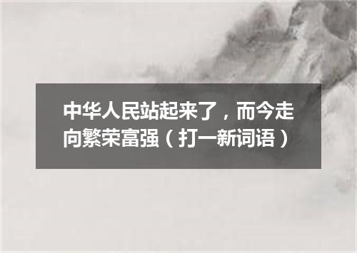 中华人民站起来了，而今走向繁荣富强（打一新词语）