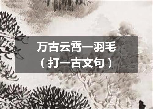 万古云霄一羽毛（打一古文句）
