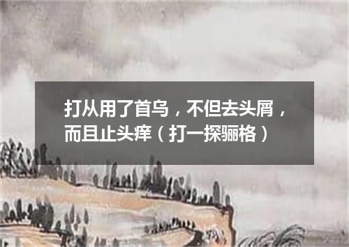 打从用了首乌，不但去头屑，而且止头痒（打一探骊格）
