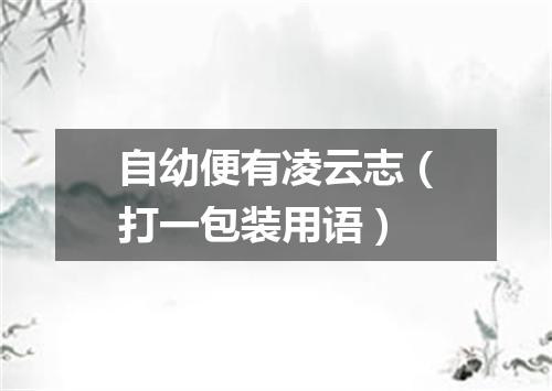 自幼便有凌云志（打一包装用语）