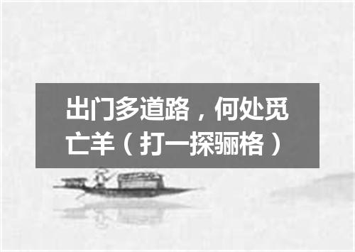 出门多道路，何处觅亡羊（打一探骊格）