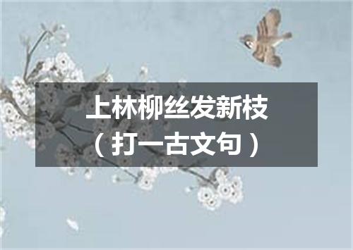 上林柳丝发新枝（打一古文句）
