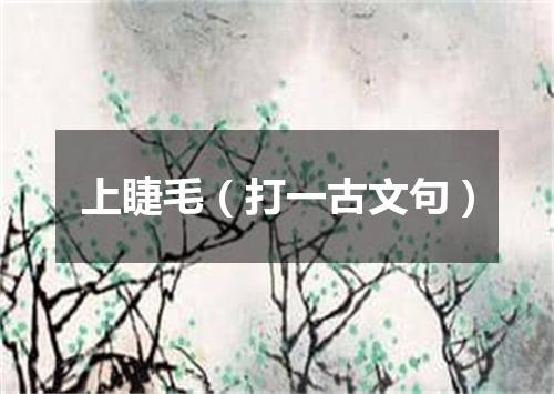 上睫毛（打一古文句）