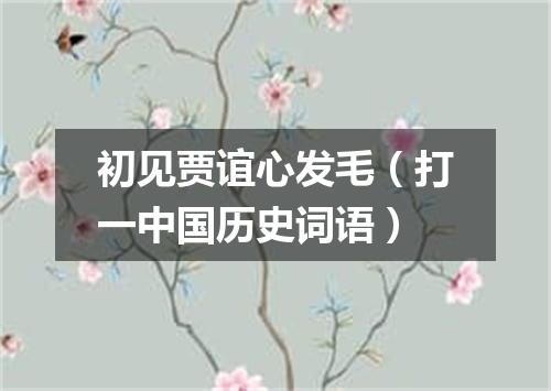 初见贾谊心发毛（打一中国历史词语）