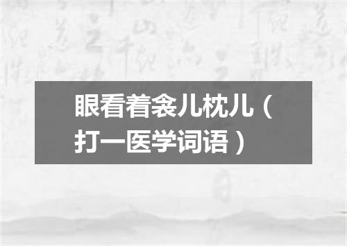 眼看着衾儿枕儿（打一医学词语）