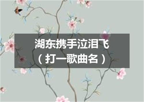 湖东携手泣泪飞（打一歌曲名）