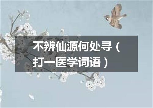 不辨仙源何处寻（打一医学词语）