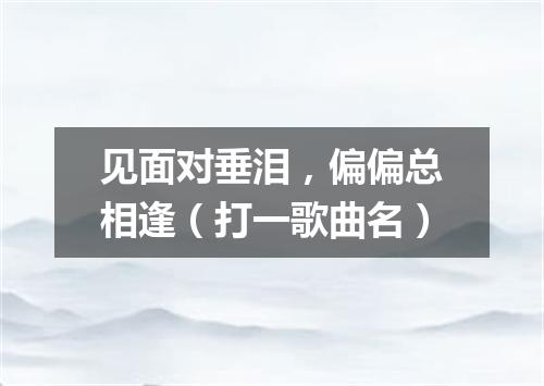 见面对垂泪，偏偏总相逢（打一歌曲名）