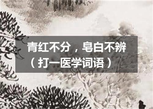 青红不分，皂白不辨（打一医学词语）