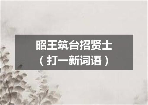 昭王筑台招贤士（打一新词语）