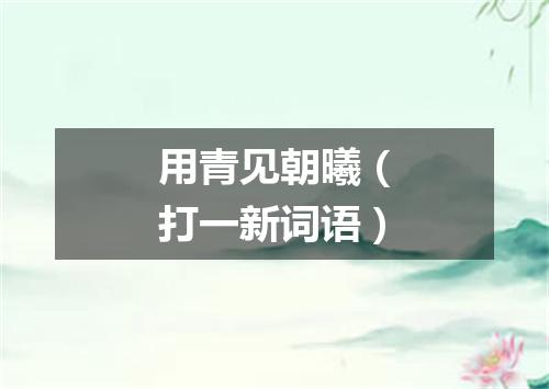 用青见朝曦（打一新词语）