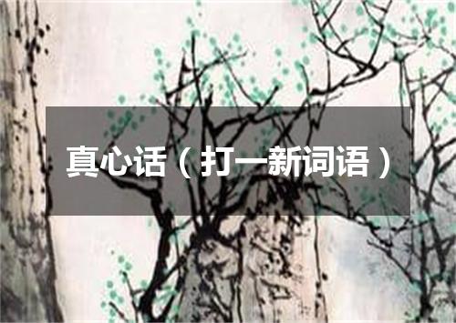 真心话（打一新词语）