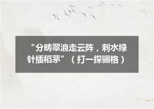 “分畴翠浪走云阵，刺水绿针插稻茅”（打一探骊格）