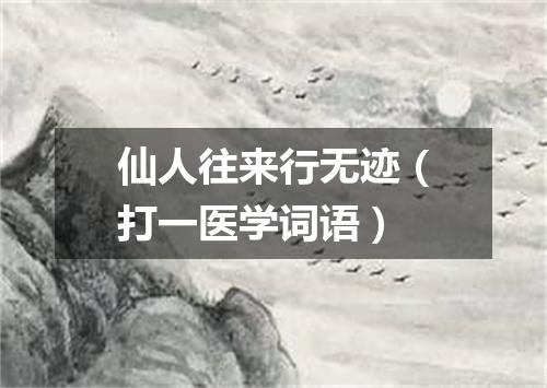 仙人往来行无迹（打一医学词语）