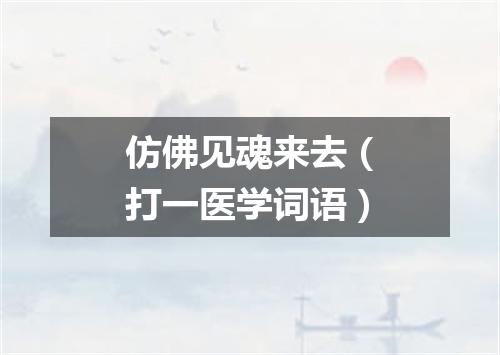 仿佛见魂来去（打一医学词语）
