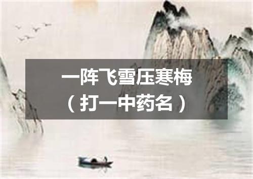 一阵飞雪压寒梅（打一中药名）